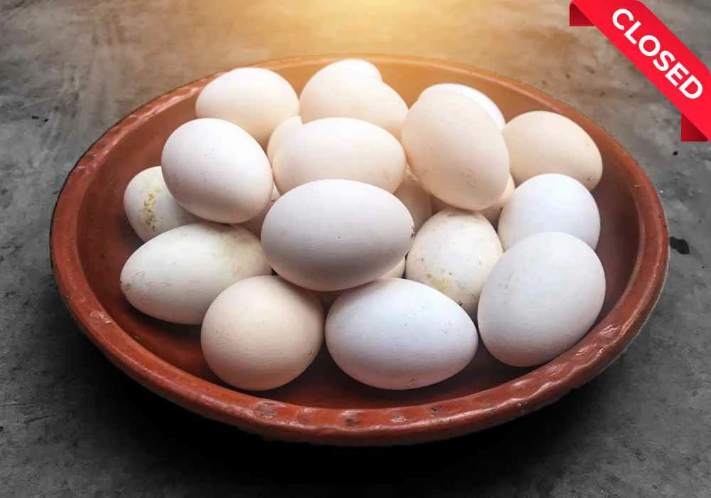Native Chicken Egg-3 (Special)
