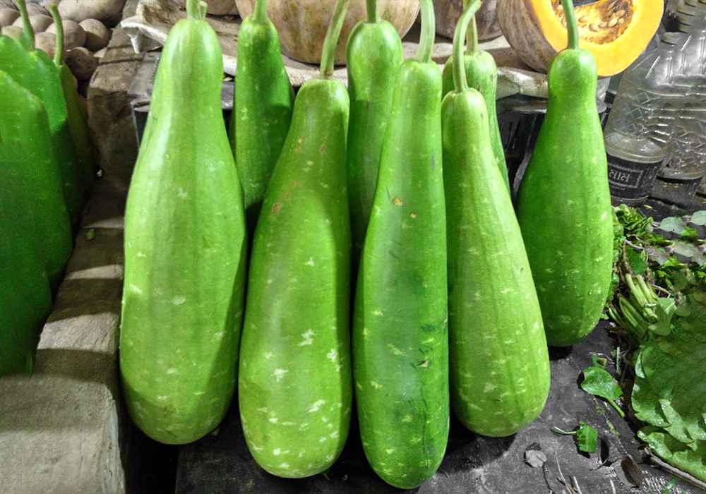 Gourd-5