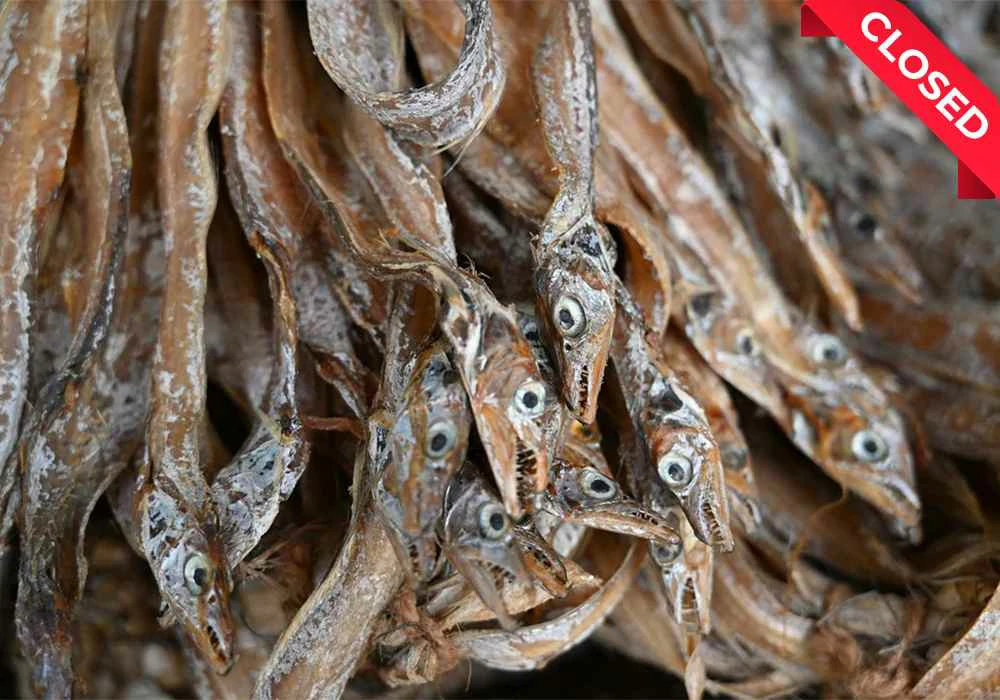 Dry Fish-2