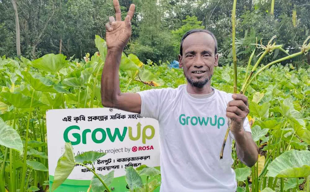 Colocasia Stems(Kochur Loti)