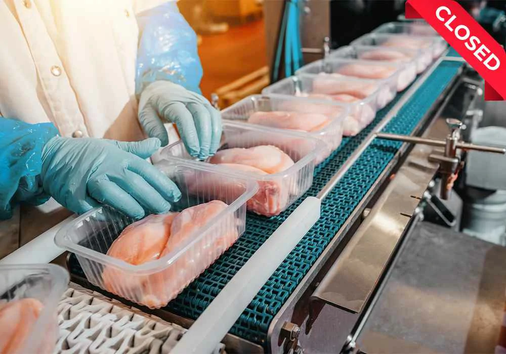 Chicken and Duck Meat Process