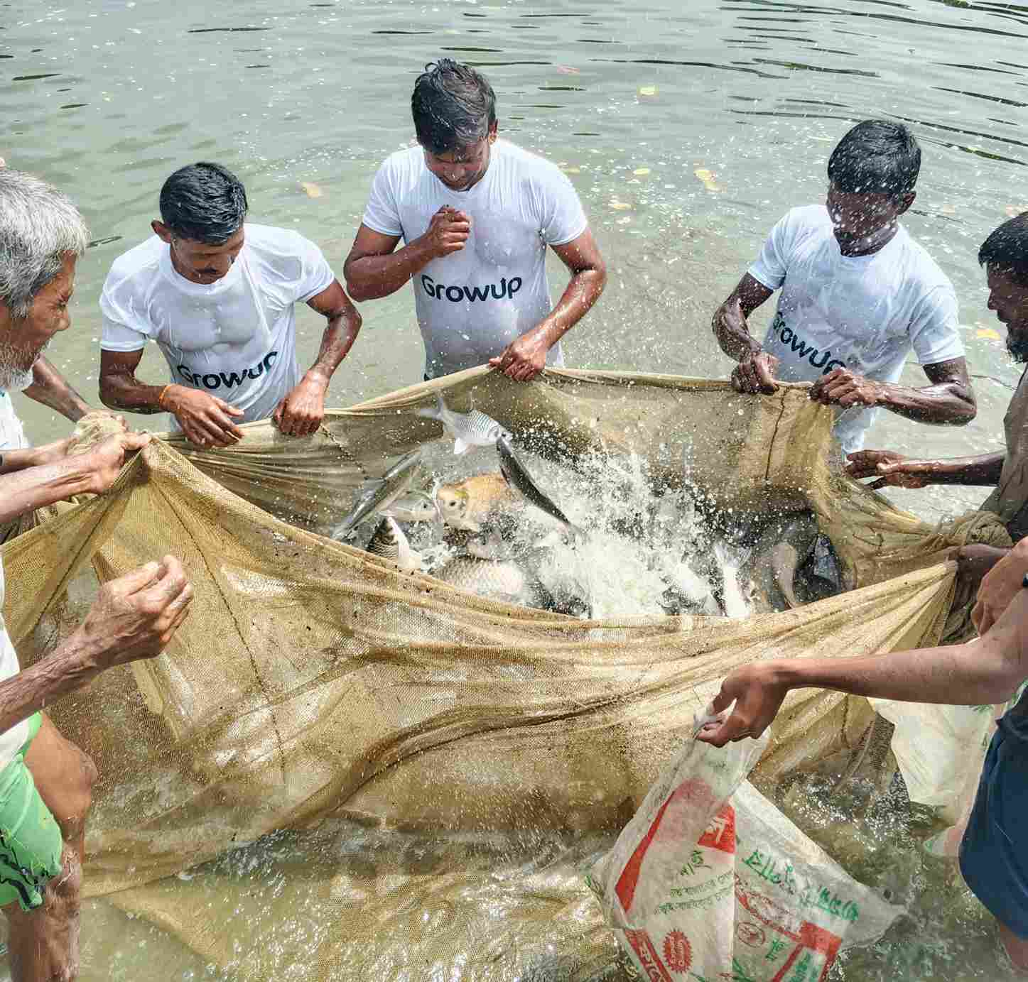 Securing the Future: Why Agrotech Investment Matters Now