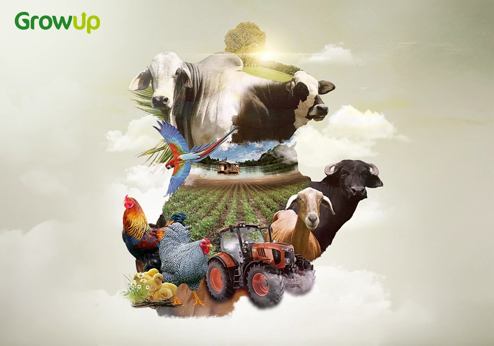 Conceptualization of Growup