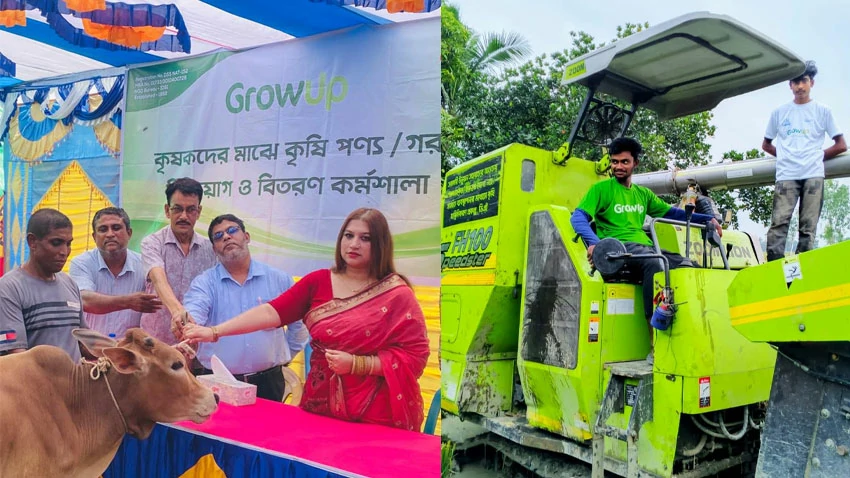 Over 100 farmers receive free cattle from GrowUp in Bogura